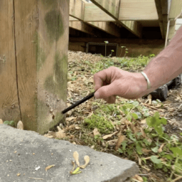 Post-preservative-MyFixitUpLife ‣ MyFixitUpLife ‣ MyFixitUpLife Post-preservative-MyFixitUpLife