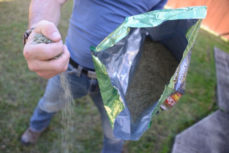 The first thing to about how to fertilize your spring lawn is to know when to fertilize. Also are you doing basic maintenance or repair and rescue?