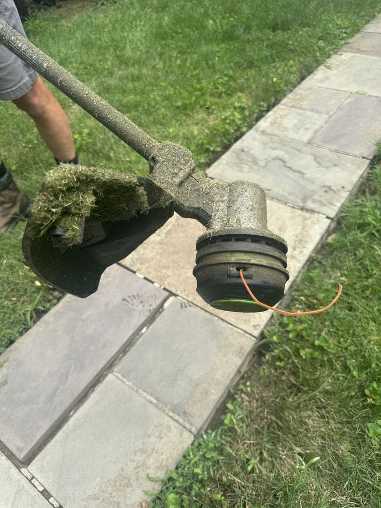 EGO String Trimmer string close up Should You Try an eGo String Trimmer Maybe not MyFixitUpLife MyFixitUpLife Close up of a grass trimmer head held at an angle covered in grass clippings with the cutting line visible and a persons leg in the background MyFixitUpLife